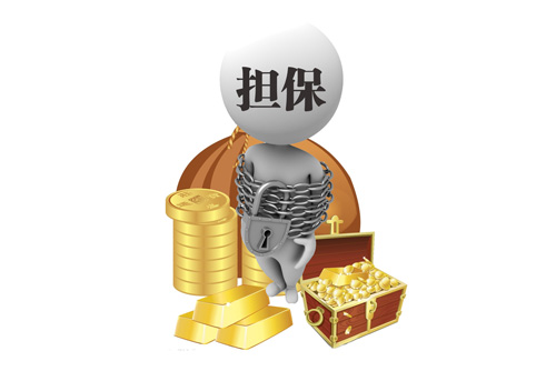 黑龍江省壹方融資擔(dān)保股份有限公司使用德生人證手持機(jī)TSR-P